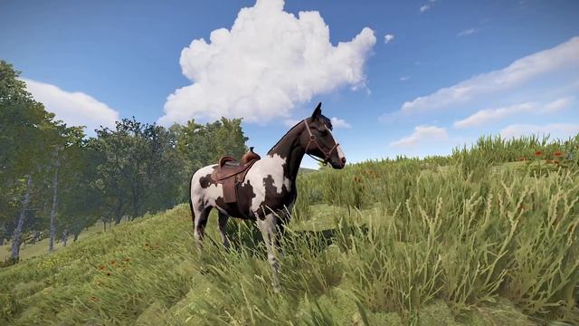 Крупный план лошади в Rust, фыркающей в траве смотреть онлайн