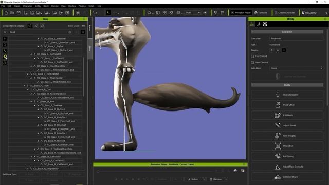 How To Add Extra Bones For Humanoid Characters With Blender & AccuRIG | Character Creator 4 Tutoria