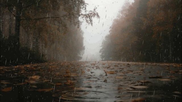 Альбом "Стёкла каплями протрёт" (видео) смотреть онлайн