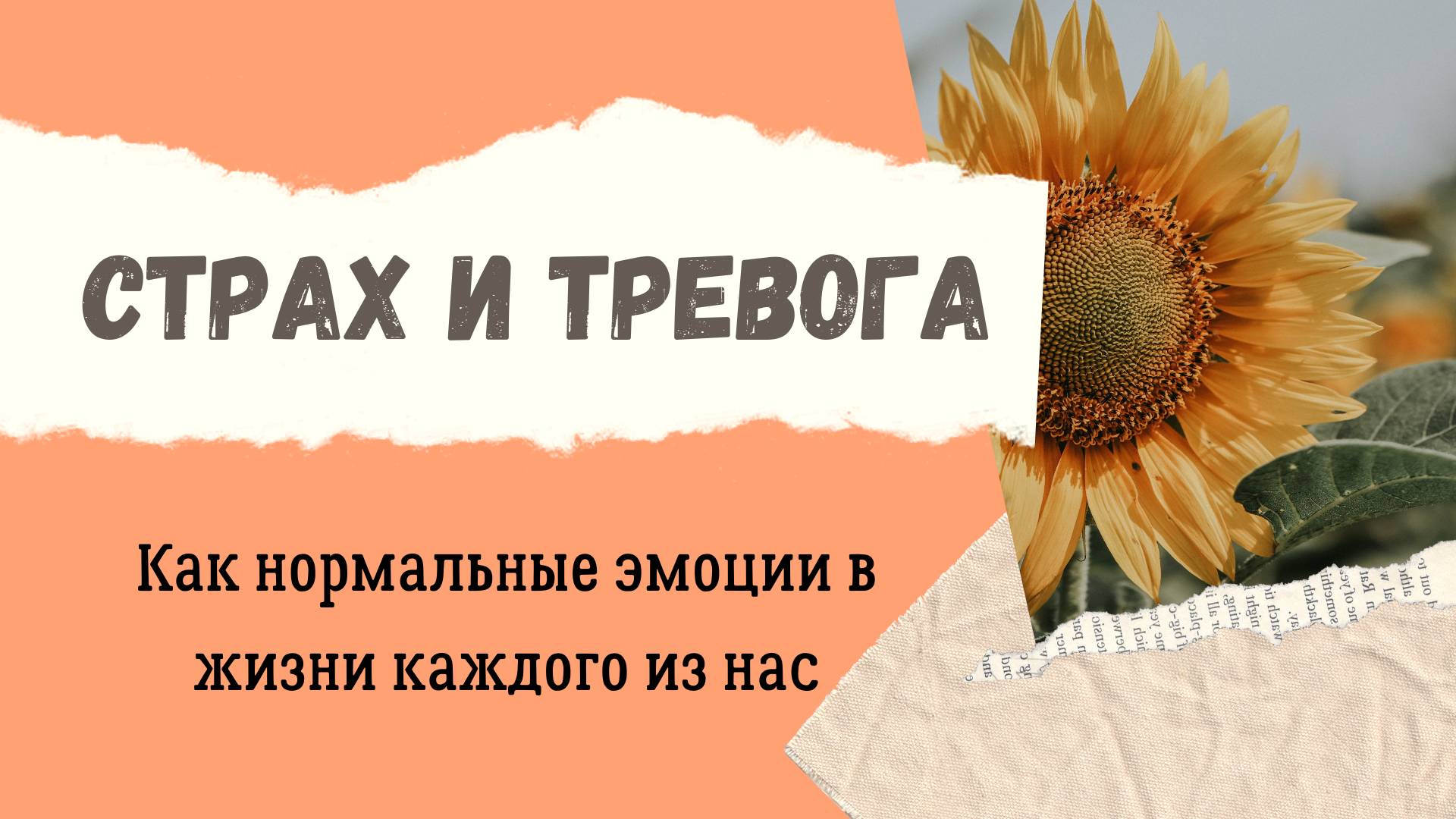 Страх и тревога как нормальные эмоции смотреть онлайн