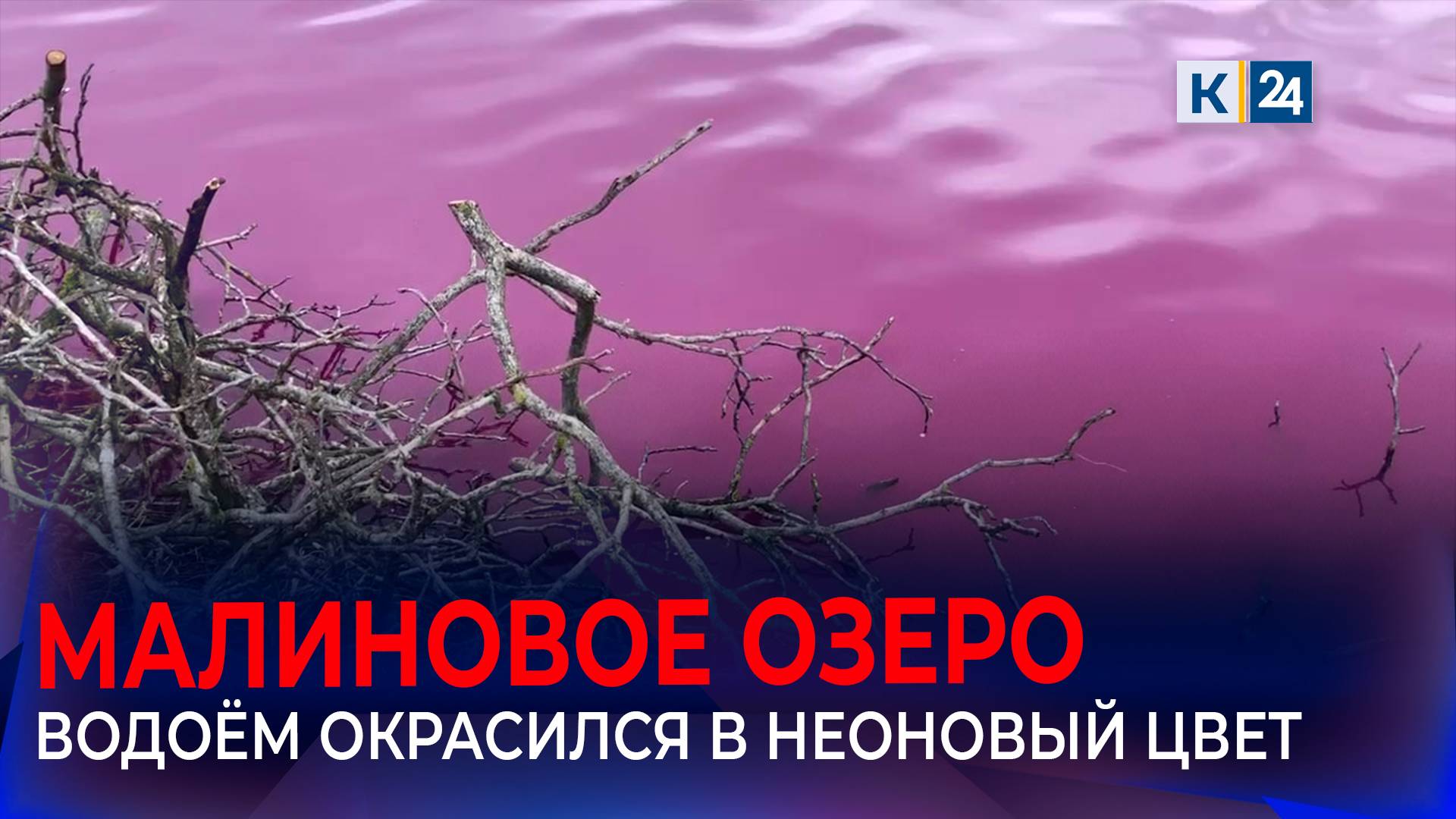 Озеро в центре Краснодара окрасилось в пугающий кислотный цвет смотреть онлайн
