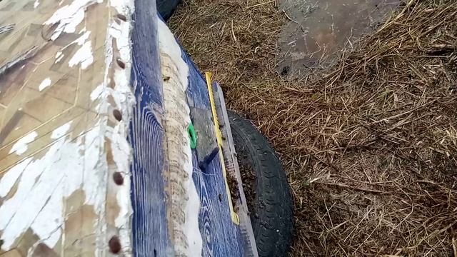 выставка пчел 2025