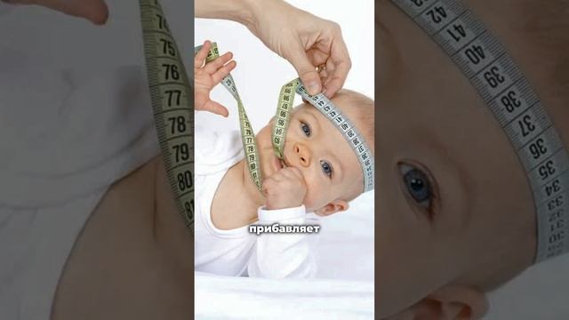 5 признаков того, что вам нужно что-то менять в прикорме смотреть онлайн