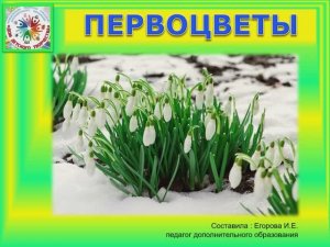 Первоцветы.