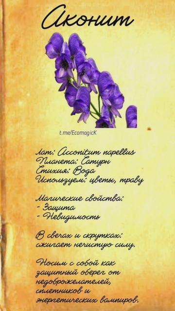 травы для магии