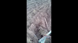 Пахота целины плугом 2/25 с отрезными дисками, 3-х цил-м китайским мини-трактором Shifeng DsF 244C