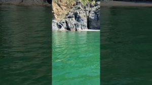 Приморский край. с.Тимофеевка, Ольгинский район.