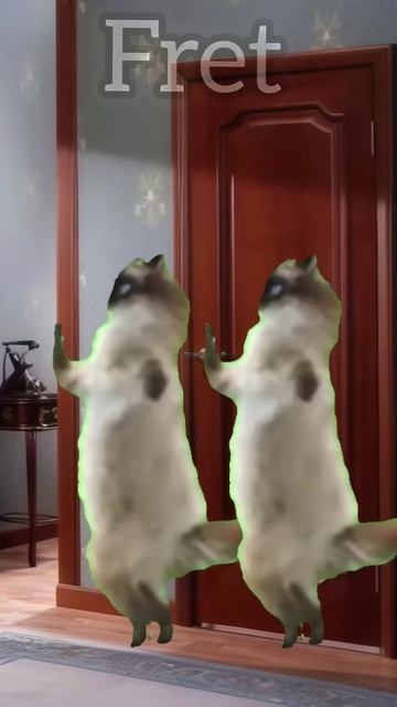 А тебе что подарят?😂 #котики #мем #фрет Пародия на @Danya_rodnoy смотреть онлайн