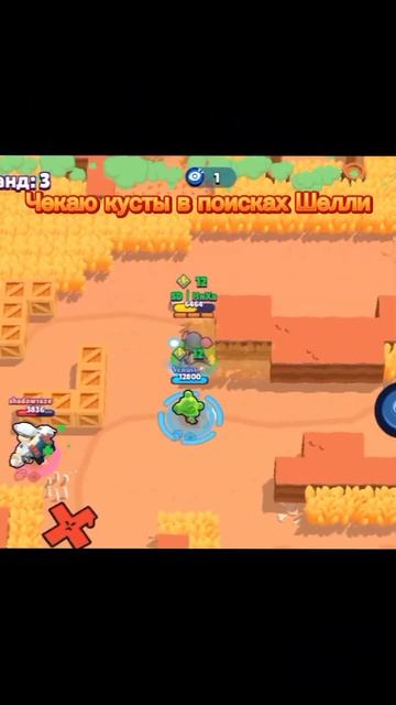 30 ранг на Таре💖 #brawlstars #бравлстарс #showdown #30rank #30ранг #тара #shorts смотреть онлайн