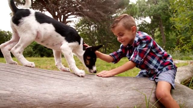 KidsBox_Level1_Unit6_CLIL_video смотреть онлайн