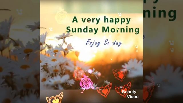 sunday good morning beautiful flowers photos 💐💐 смотреть онлайн