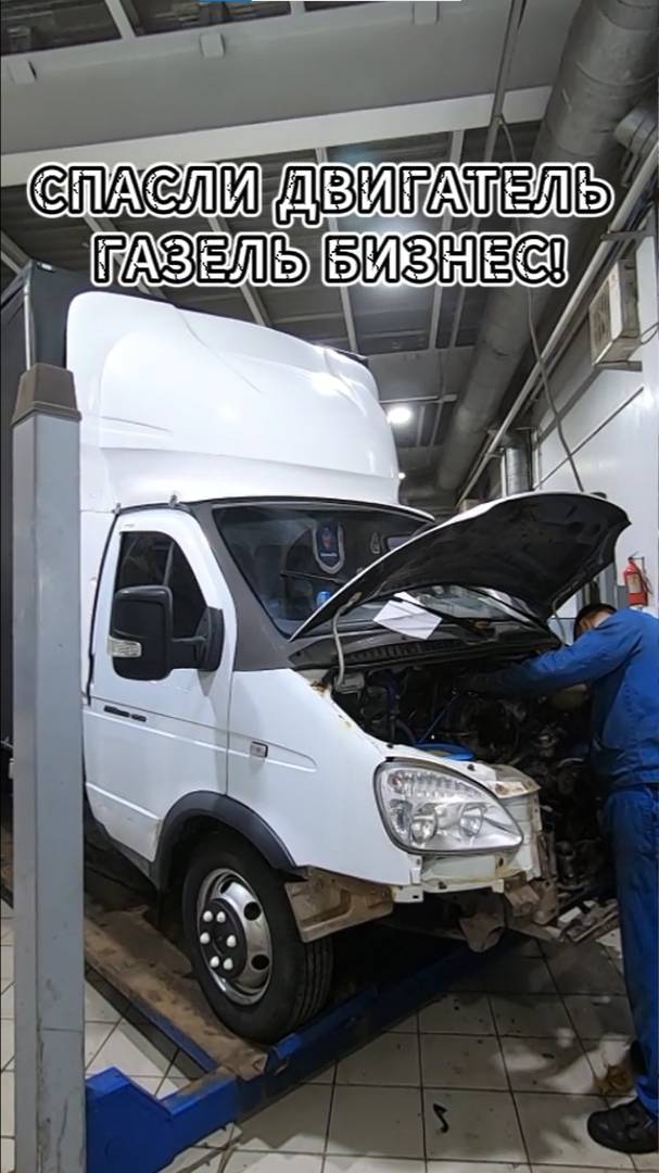 Спасли двигатель ГАЗель Бизнес