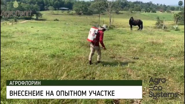 Агрофлорин для пастбищ (Колумбия) смотреть онлайн