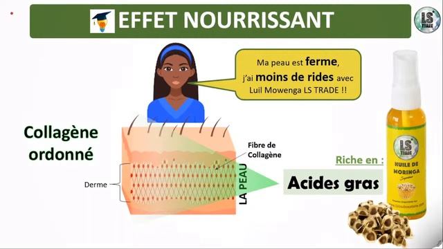L'HUILE DE MUSCADE & MORINGA: Des bienfaits insoupçonnés FORMATION LIVE LS TRADE : смотреть онлайн