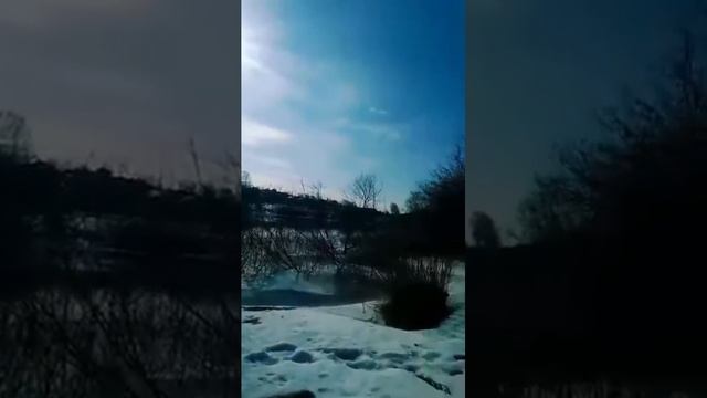 #весна#2024#природа#отдых на природе#река#лес#Днепр смотреть онлайн