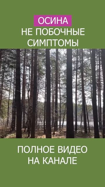 НАТУРАЛЬНЫЕ ТРАВЫ от Болезней — Как Применять их Максимально Полезно? #shotrs #травы #фитотерапевт смотреть онлайн