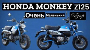 Обзор Honda Monkey z 125 ! Маленький мотоцикл с большими амбициями!