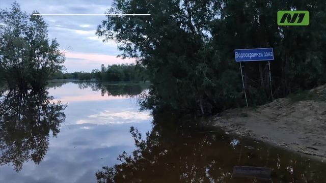 О том, как вартовчане дамбу строили смотреть онлайн