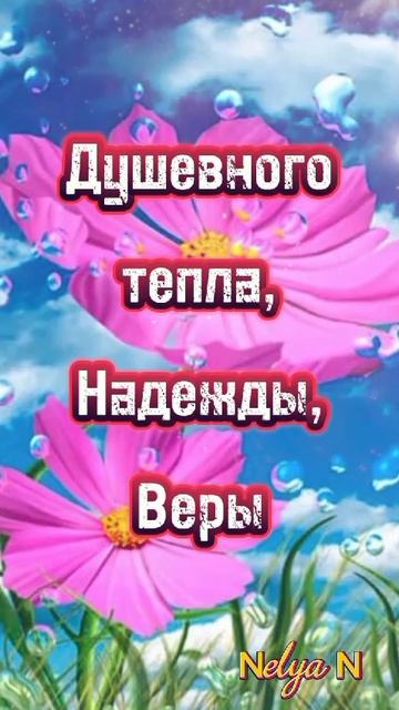 ВидеоОткрытки на Каждый день. ДОБРЫЙ ВЕЧЕР #NelyaAkim смотреть онлайн