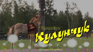 Кулунчук