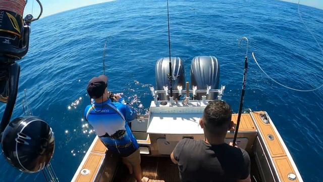 Huge Schools of tuna @ Barwon Heads смотреть онлайн