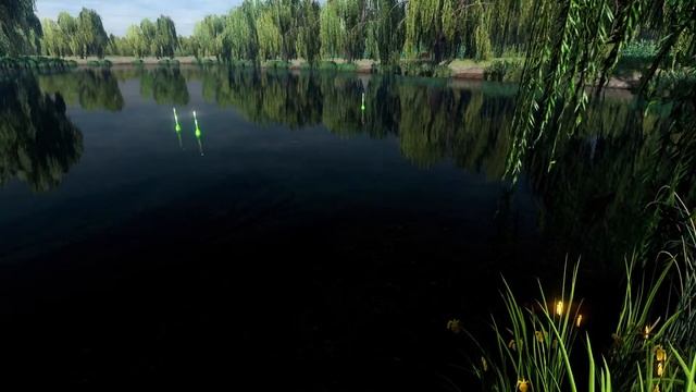 Fishing Planet (PS5) Wygrało Głosowanie :) #811 : Anglia / Karpie i Amury :) смотреть онлайн