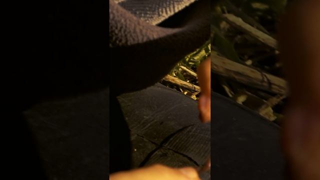 Главное насадить червя смотреть онлайн