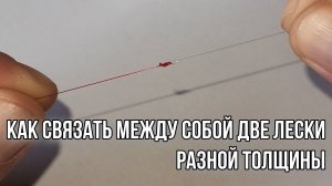 Как связать две лески разной толщины. Простой и надёжный узел.