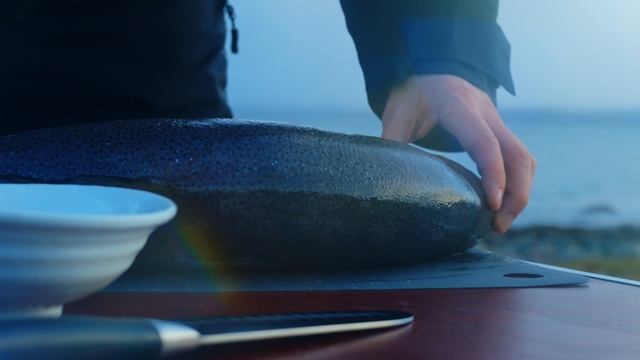 Арктическая форель