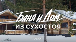 Дом из сосны, которой 300 лет: сколько стоит дом из сухостоя и что такое сосна «Кело» / Sewera