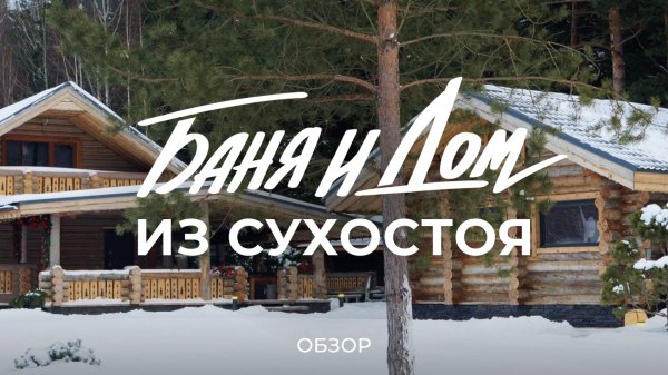 Дом из сосны, которой 300 лет: сколько стоит дом из сухостоя и что такое сосна «Кело» / Sewera