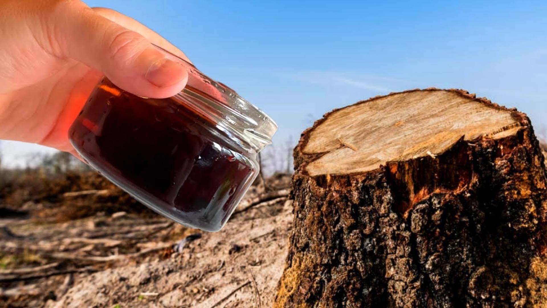 уДачные заметки