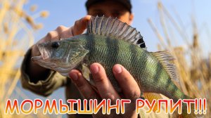 ОКУНЬ жрёт 💪 ЩУКА ловится 👍 Весенний МОРМО-НАНО джиг рулит 💪💪💪