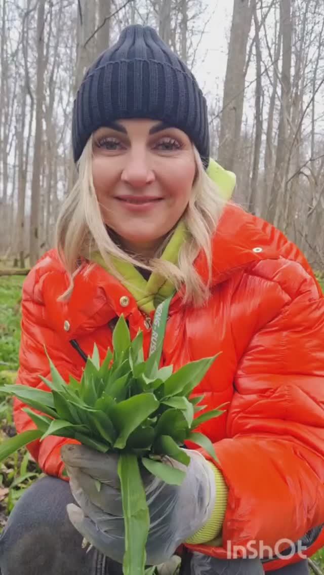 Худеем к лету ! ЧЕРЕМША, ешьте и худейте вместе с нами! РЕЦЕПТЫ ГРИБНИКОВ смотреть онлайн