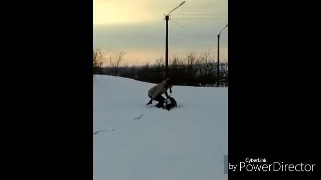 23 июня 2016 г. смотреть онлайн
