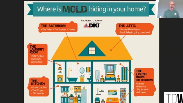 Mold Health Risks | A 21st Century Crisis смотреть онлайн