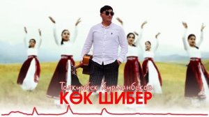 Толкунбек Курманбеков.  Кок Шибер