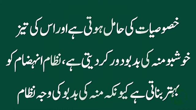 Amazing Cardamom Benefits in Urdu Hindi Elachi Ky FaydeChoti Elachi смотреть онлайн
