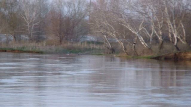 Половодье смотреть онлайн