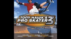 Tony Hawks Pro Skater 3 Soundtrack (Theme)