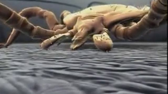 Tick-borne Encephalitis