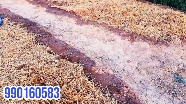 Уй шароитида бир йилда 50 млн сум даромад килиш! смотреть онлайн