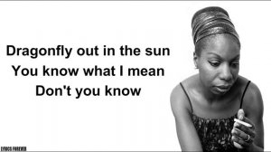 Feeling Good–Nina Simone(Lyrics)