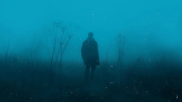 øneheart x reidenshi - snowfall (1 hour loop)/ dark ambient music смотреть онлайн