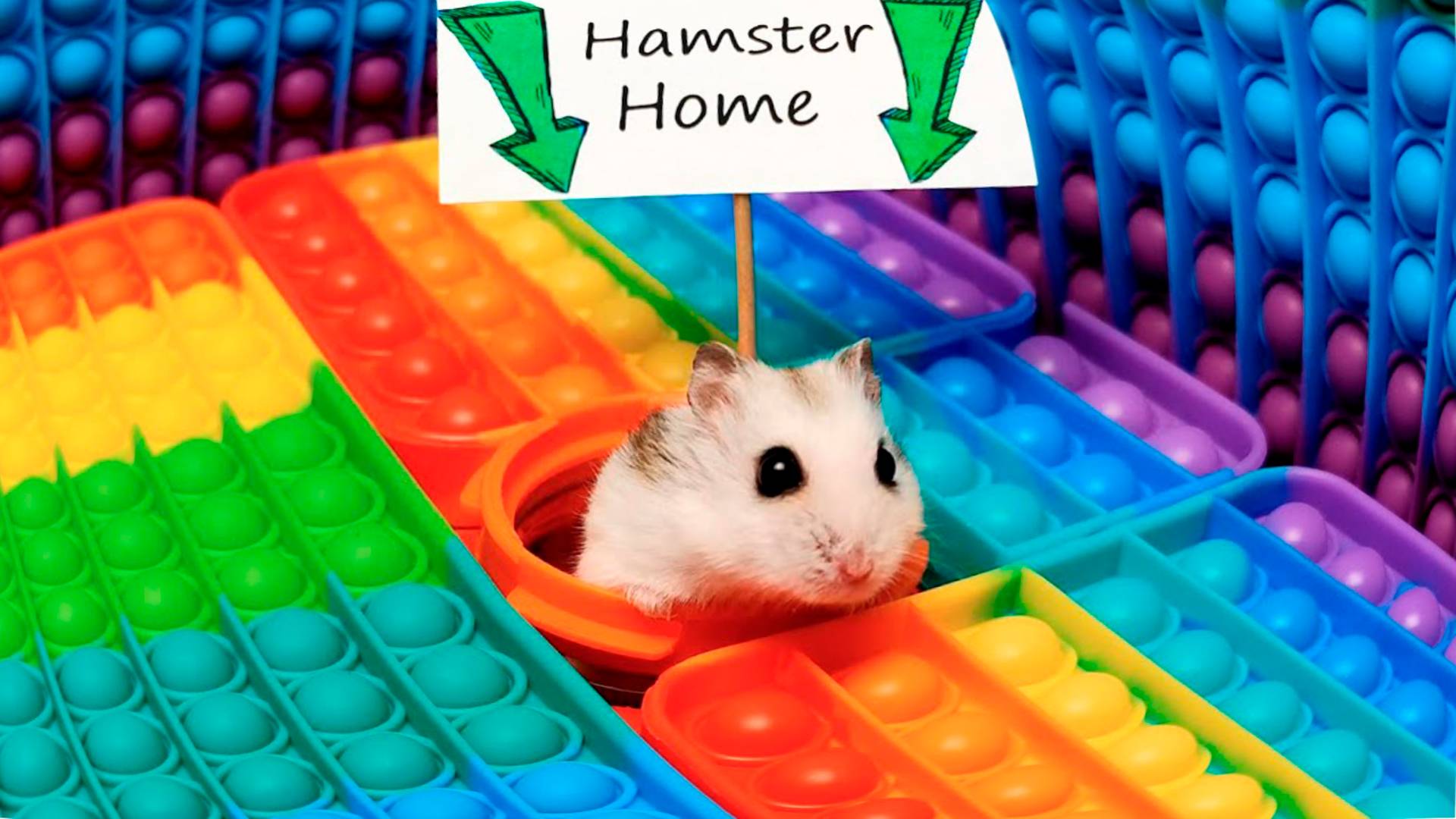 Мистер Хомяк в Pop It смотреть онлайн