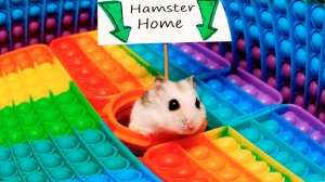 Мистер Хомяк в Pop It