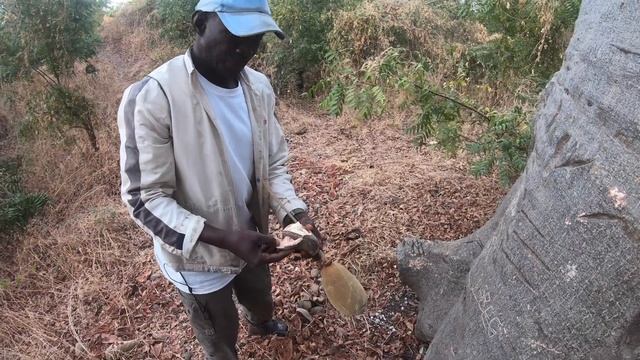 Senegal 🇸🇳 | the Sine Saloum a forgotten paradise of teranga part 2 смотреть онлайн