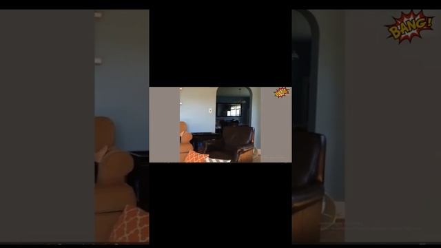 Смешное видео. Подборка! Только ТОП №3 смотреть онлайн