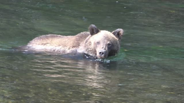 Против течения