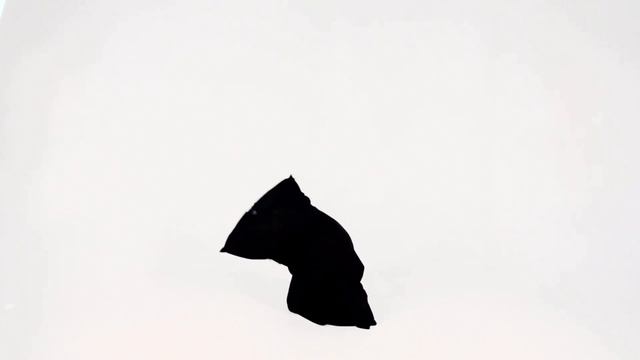 Перформанс "Я – форма", 2022/ Вероника Глушкова смотреть онлайн